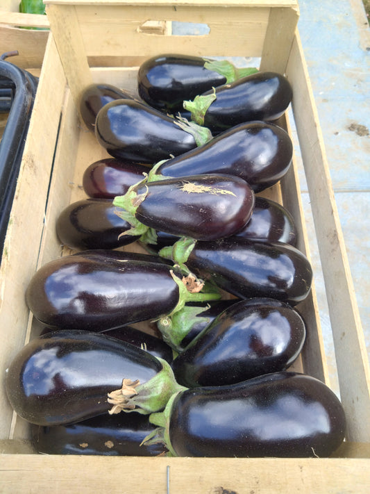 Aubergines