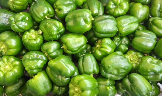 Poivrons verts