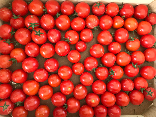 Tomates cerises